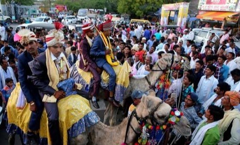 낙타를 타고 퍼레이드를 펼치는 인도 신랑. [EPA=연합뉴스]