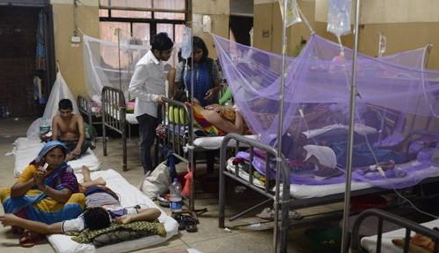 방글라데시 수도 다카의 한 병원에서 치료받는 뎅기열 환자들. [AP=연합뉴스]