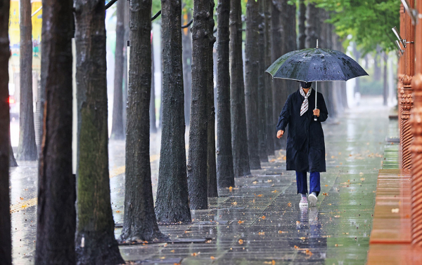 가을비가 내린 11일 대구 중구 국채보상운동기념공원에 긴팔 외투를 입은 시민이 우산을 쓰고 발걸음을 재촉하고 있다. 박영제기자 yj56@kyongbuk.com