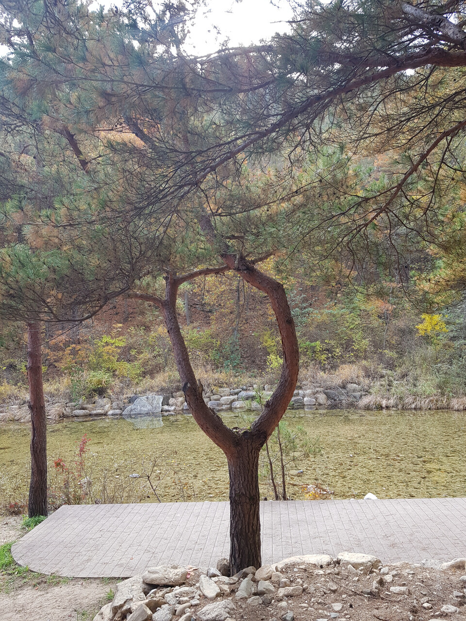 구수곡 이미지