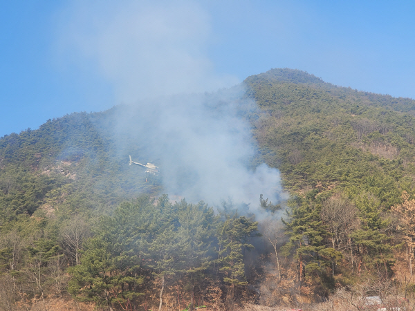 <b>포항</b> 환호동 산불 <b>진화</b> 완료…"담배꽁초 등 발화 가능성 조사"