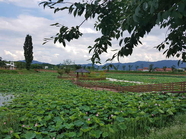 ▲ 뒷미지 데크 길