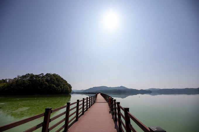 ▲ 안동시 도산면 예끼마을에서 출발하는 ‘선성수상길’. 마치 물 위를 걷는 듯한 이 길은 자연과 예술, 역사와 기억을 품고 있다.