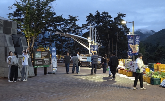 ▲ 4일 영천 보현산댐 출렁다리 야간 개장을 찾은 방문객들이 인근에 마련된 직거래 장터에서 과일과 채소를 구매하며 장보기 즐거움을 누리고 있다. 권오석 기자