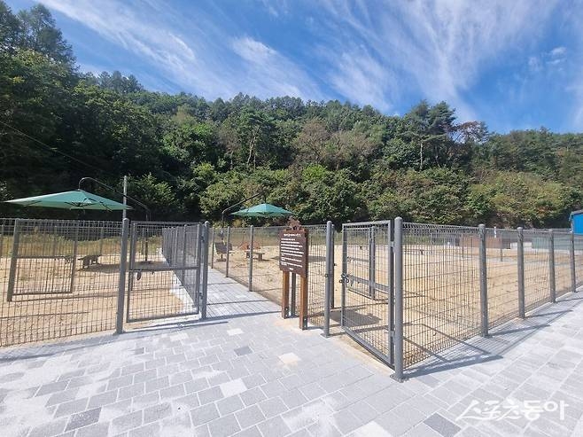 ▲ 공모사업 반려동물 인프라사업비 공모로 만든 반려동물 놀이터.
