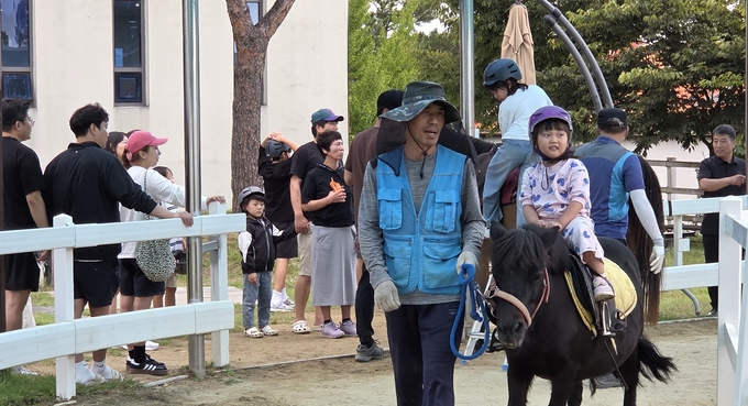 ▲ 아이들이 8일 말문화체험관에서 조랑말을 타며 즐거워하고 있다. 권오석 기자