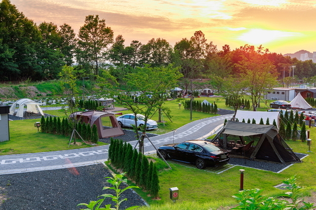 ▲ 호명읍 패밀리 파크 캠핑장 모습.