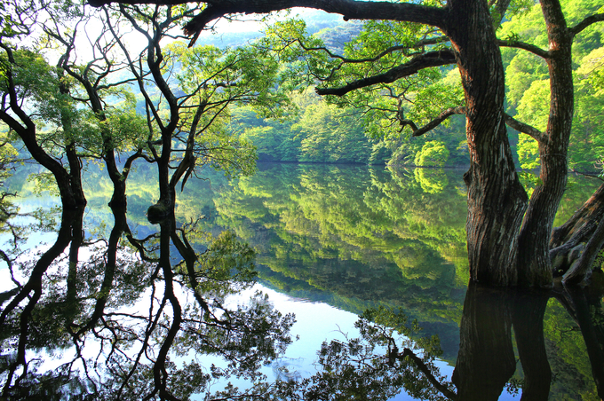 청송군 주4.5일제, 공공기관 근무 혁신과 삶의 질 향상 이끌어 - 뉴스 썸네일 이미지