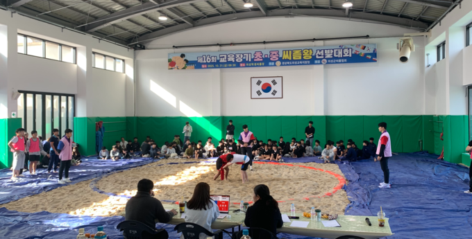 ▲ 제16회 교육장기 초·중 씨름왕 선발대회가 10월 31일 의성학생씨름장에서 열린 가운데 학생 선수들이 힘찬 대결을 펼치고 있다. 의성교육청