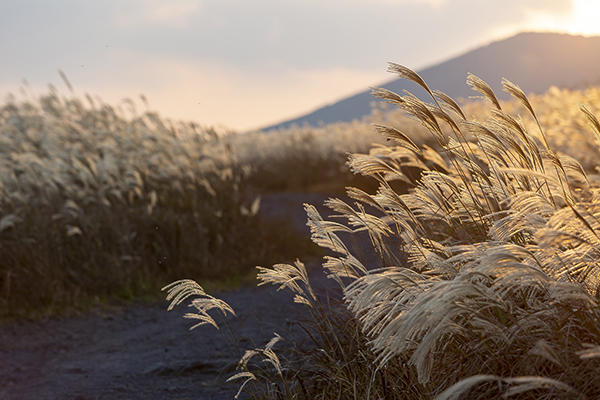 클립아트코리아 제공