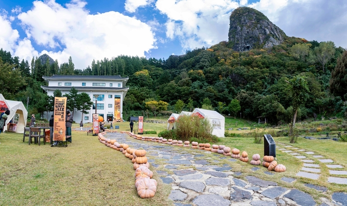 ▲ 울릉호박재즈페스티벌이 지난 1일과 2일 울릉천국 아트센터 일원에서 열렸다. 1500여 개의 호박으로 조성된 ‘호박로드’. 울릉군 제공