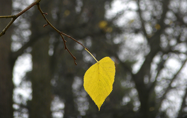 클립아트코리아 제공