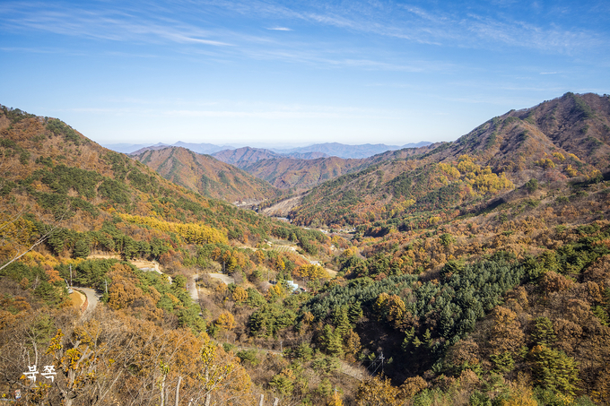 ▲ 11일 오전 충북 영동군 도마령(刀馬岺)이 늦가을의 정취로 짙게 물들었다. 서영기 객원기자