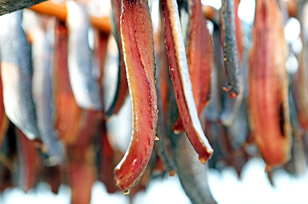 클립아트코리아 제공