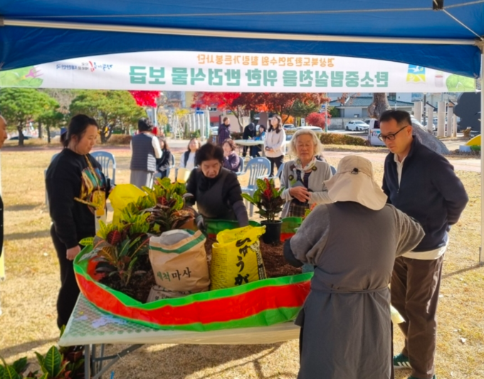 ▲ 12일 영양 군청 잔디마당메서 열린 탄소중립 실천을 위한 반려식물 보급 모습