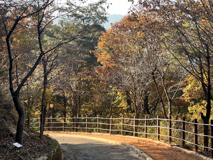 ▲ 상주시 성주봉자연휴양림이 가을을 맞아 황톳길, 숲속의 광장, 목재문화체험장 등의 리모델링과 개선을 통해 힐링명소로 자리매김하고 있다. 사진은 건강과 여유를 함께 누릴 수 있게 재조성된 황톳길 모습. 상주시 제공