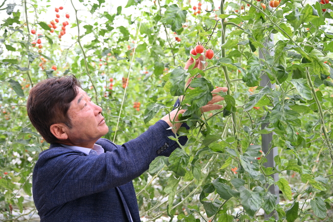 ▲ 지난 4월 도란도란 어울림센터 개장식에 참석한 나영완 의원이 토마토를 살펴보고 있다.