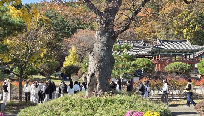 ▲ 학생들이 임고서원을 둘러보고 있다.