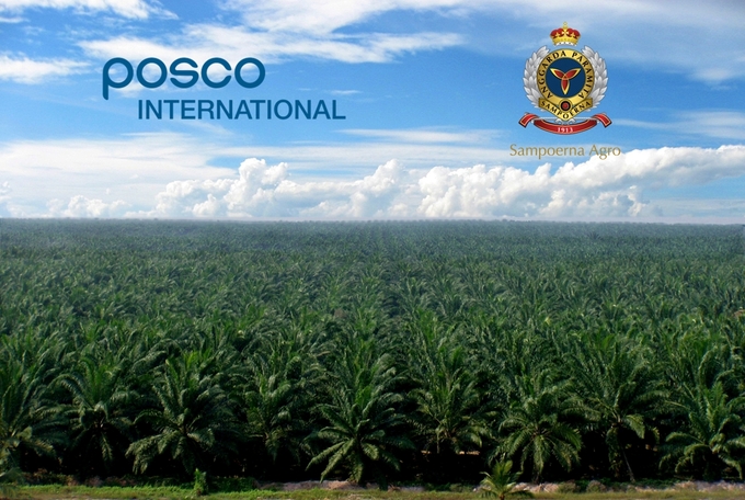 ▲ 포스코인터내셔널이 인수한 인도네시아 삼푸르나 아그로 팜 농장 전경