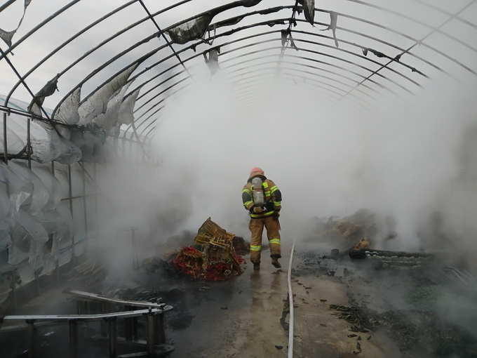 ▲ 22일 경북 의성군 안평면 비닐하우스 내부에서 소방대원이 녹아내린 골조와 탄화된 농기계 잔해 사이로 흩어진 연기 속을 조심스럽게 이동하며 잔불 정리를 이어가고 있다. 의성소방서