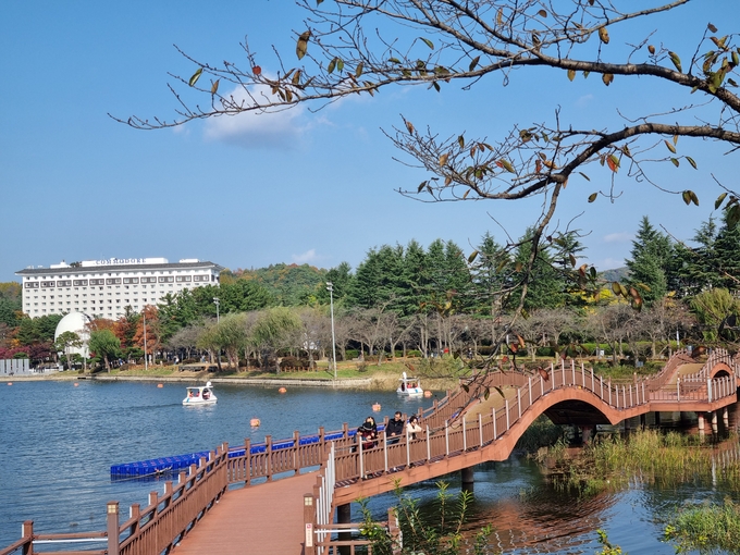 ▲ 보문호 호반1교 전경