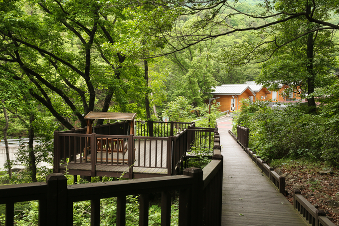 칠곡 국립숲체원, 4월 최대 50% 할인...웰니스 관광객 유치 나선다 - 뉴스 썸네일 이미지