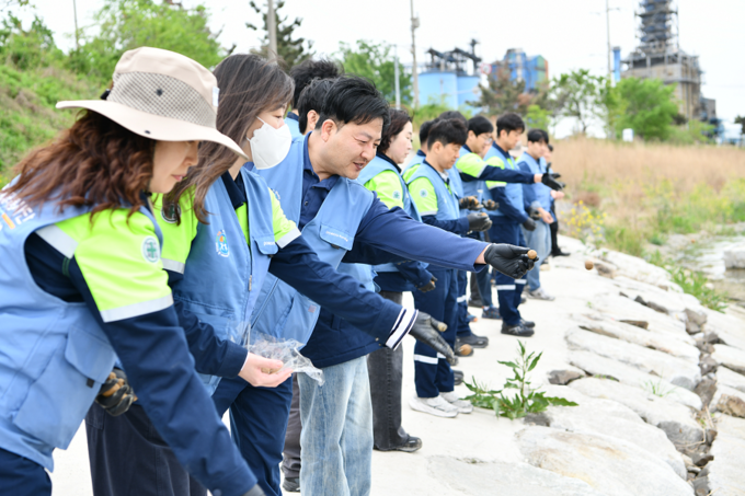 ▲ 22일 ‘퓨처엠 Nature Guard Day’ 봉사활동에 참여한 포스코퓨처엠 직원과 가족들이 씨드볼을 만들어 포항시 남구 냉천에 던지고 있다.