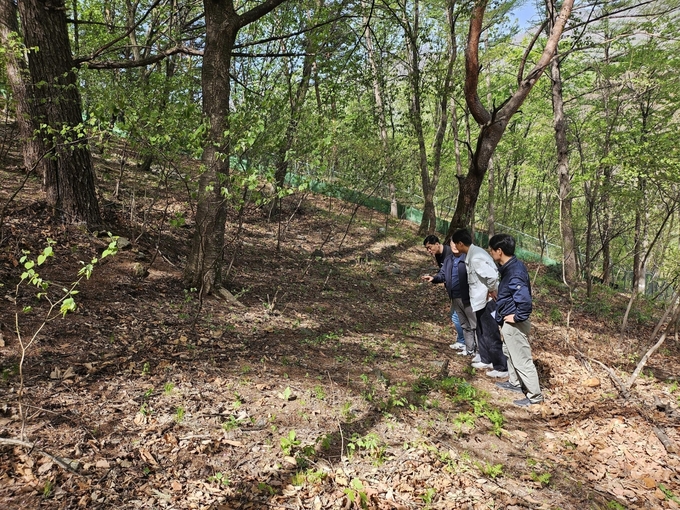 https://cdn.kyongbuk.co.kr/news/photo/202605/4074157_806712_5345.jpg