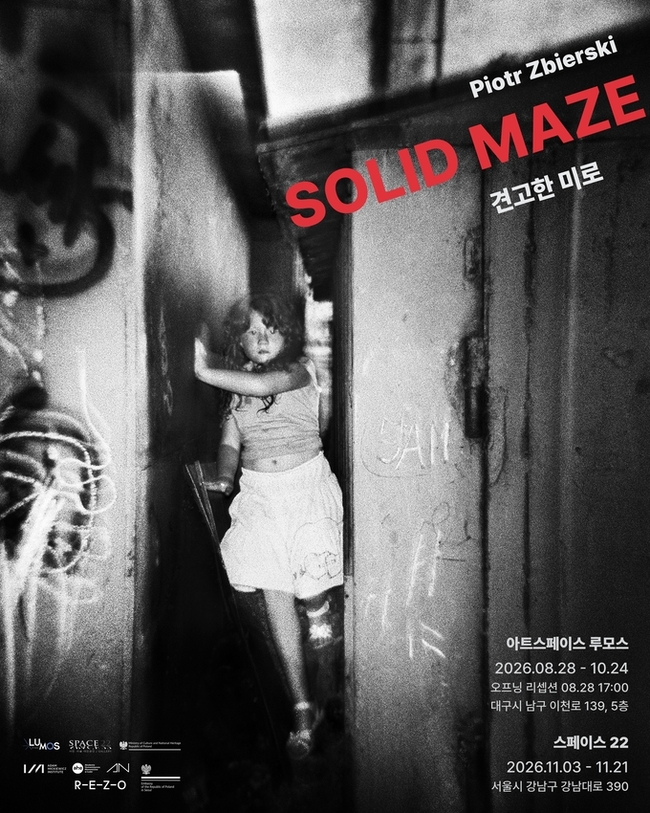 Solid Maze 견고한 미로 포스터